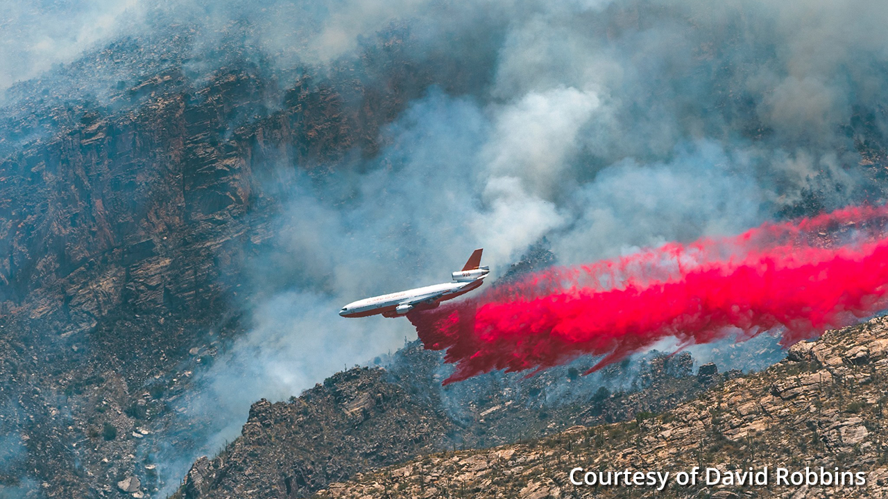 Arizona’s Bighorn Wildfire Grows, Prompting Evacuations